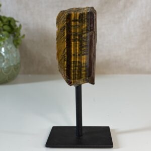 Tijgeroog op standaard 2