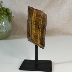 Tijgeroog op standaard 3